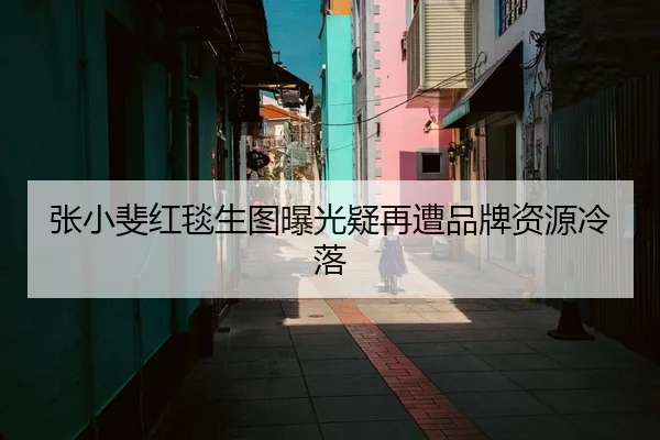 张小斐红毯生图曝光疑再遭品牌资源冷落